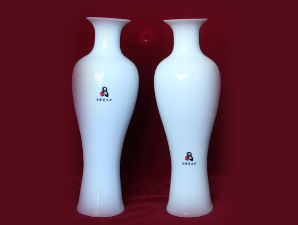瓷瓶應用案例樣品